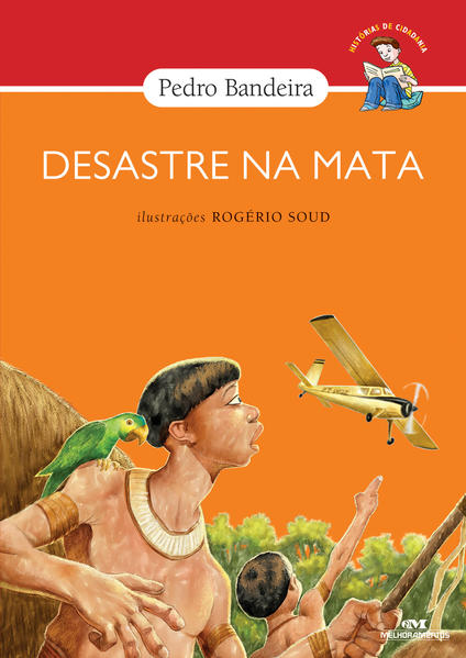 Capa do livro: Desastre na Mata