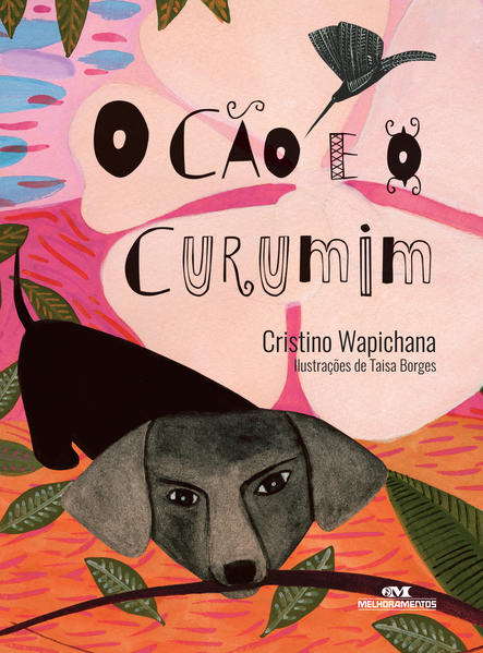 Capa do livro: O Cão e o Curumim 